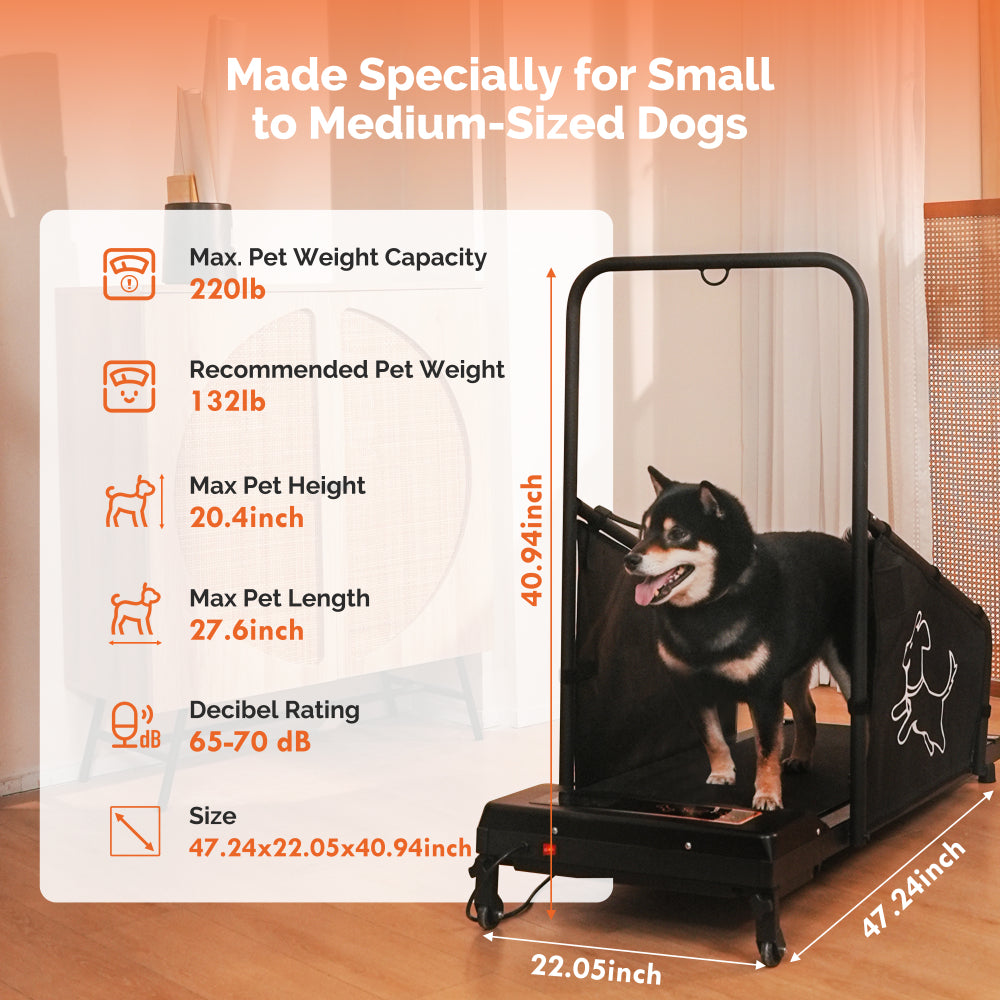 Dog Treadmill for Medium Dogs