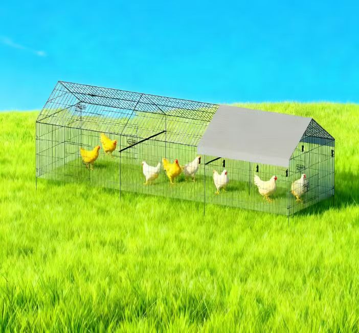 Poultry Farming Outdoor Metal Chicken Coop