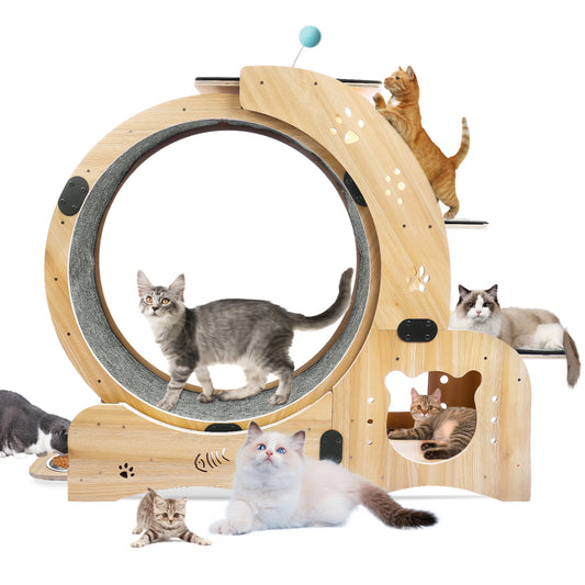 Upgraded Cat Wheel Exerciser for Indoor Cats