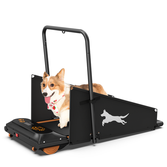 Dog Treadmill Small Dogs and Medium Dogs