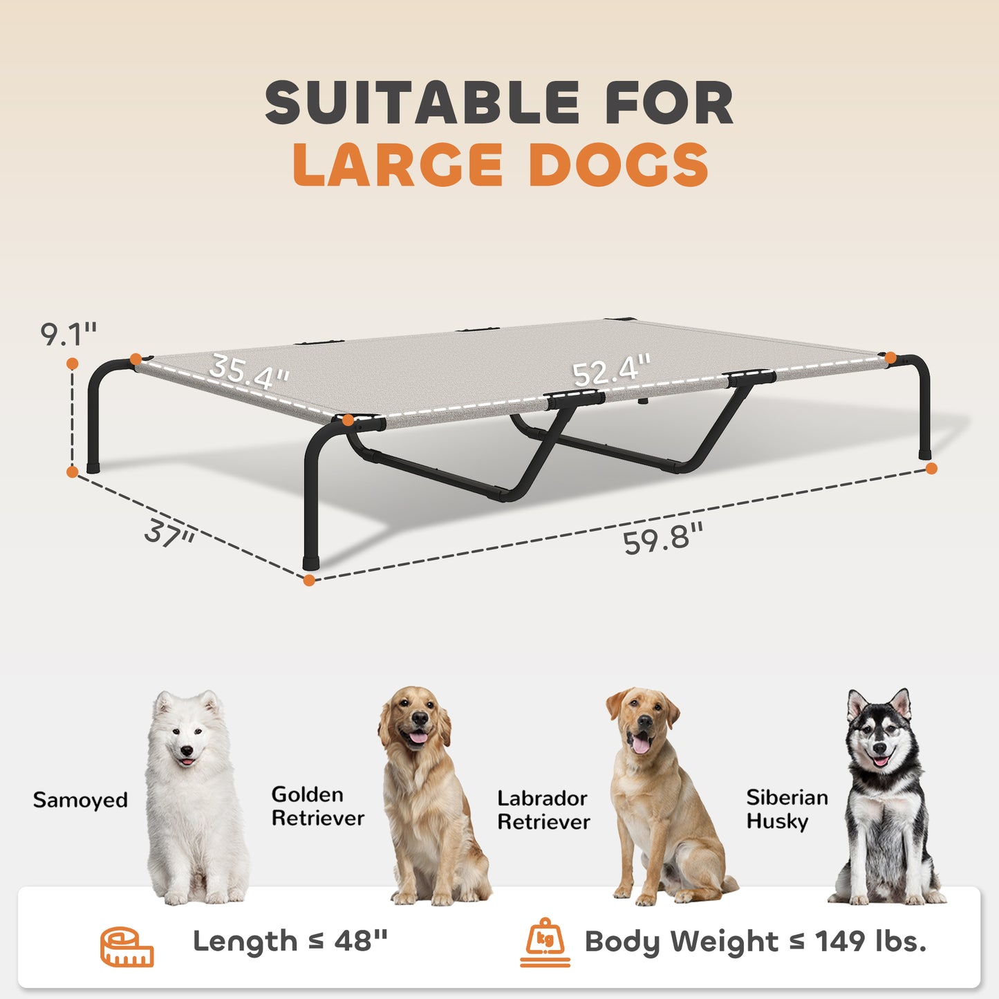 Elevated Dog Bed for Large Breeds Beige 60"L